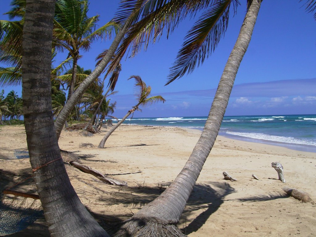 Playa Dominicana by Michel GARCIA