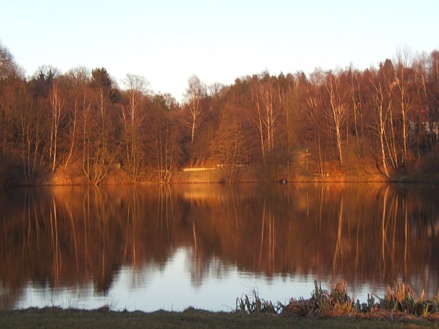 Hof, am Lettenbachsee by worai