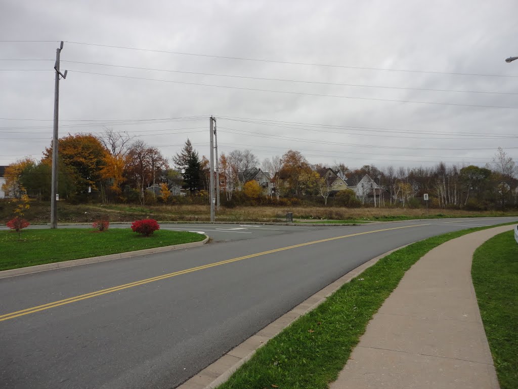 Inglis Street Just off Prince Street by Frankie MacDonald