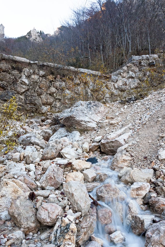 Sorgente del Fiume Chiampo sulle Piccole Dolomiti by Ronald Menti