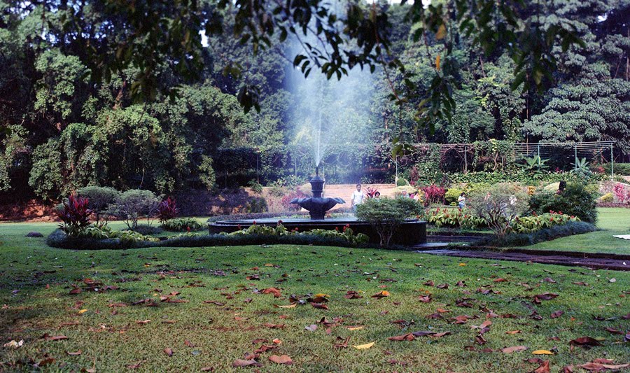 Bogor Botanical Garden by iwan hainim