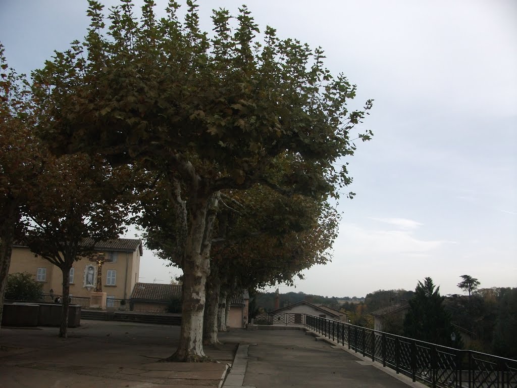 Parc à ars sur formans by Salomon BARZILAI & Jerome IBY