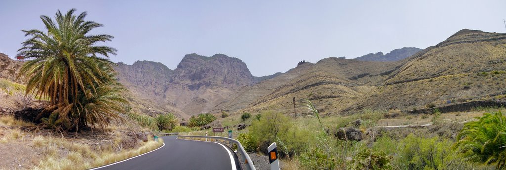 Barranco de Guayedra, palmeral by CanariasPanorámicas