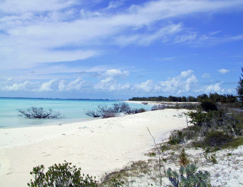 Cayo Largo, Cuba. Endless beaches. by Eivind Friedricksen