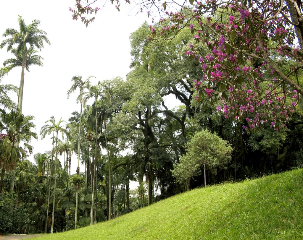 Instituto Butantan - São Paulo, SP, Brasil. by André Bonacin