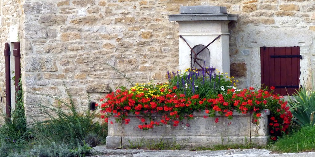 Fontaine fleurie du Vieux Cuisat (Ain) by Alain TREBOZ