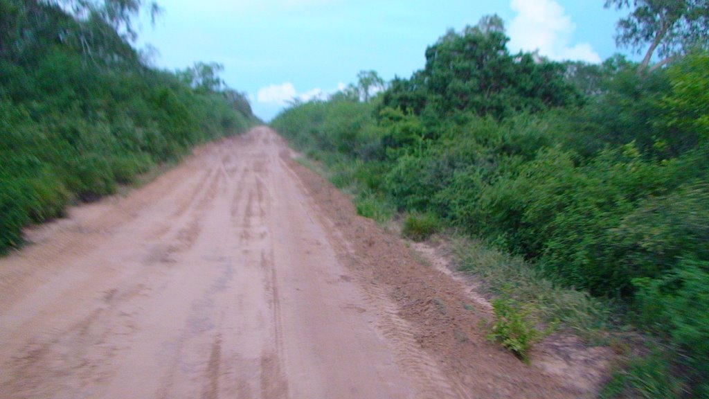 PICADA 108 KM 634 TRANS CHACO by gomezminck