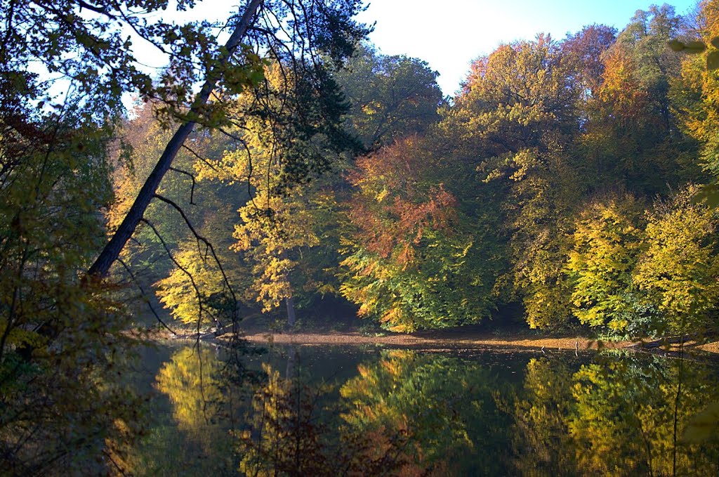 Autumnal reflections by Rainer M. Ritz