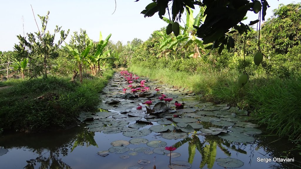 Long Tuyền, Bình Thủy, Cần Thơ, Vietnam by Serge Ottaviani