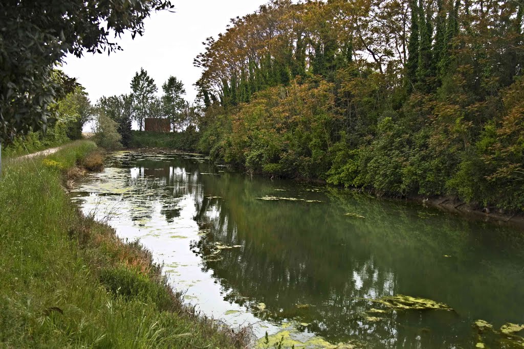 Sant´Erasmo, il giardino di Venezia 2011-04-23 (JV) by Jiri Veverka