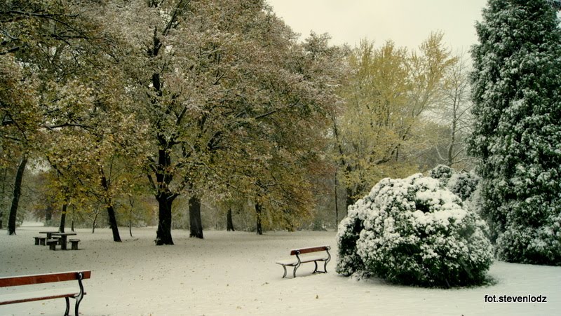 Park Poniatowskiego Łódź - Pierwszy śnieg by stevenlodz