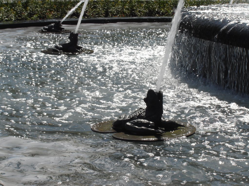 Fontaine de Tourny by Cristina Sottile