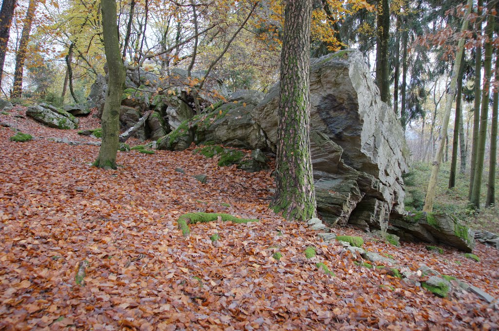 Bleibeskopf by Jürgen Düring