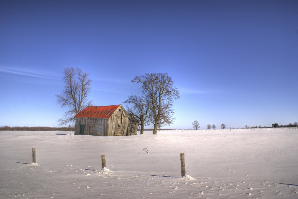 Little Shack in a Field by D.R.Lamont