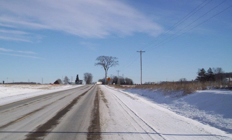 Elm tree, Oxford County Road 16 by Doug Payne