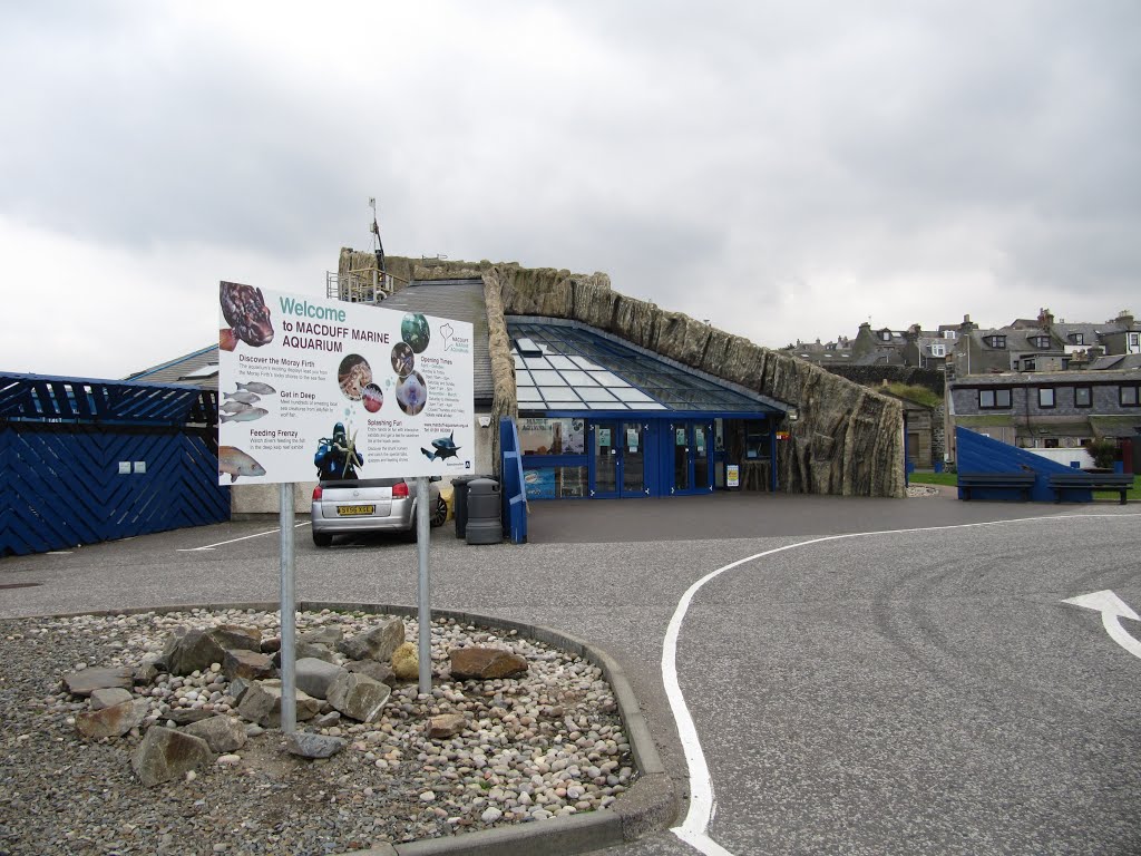 Marine Aquarium, Macduff, Moray by oldchippy