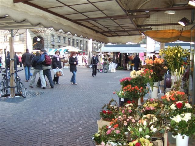 Flower Square by ana  buzancic peterc…