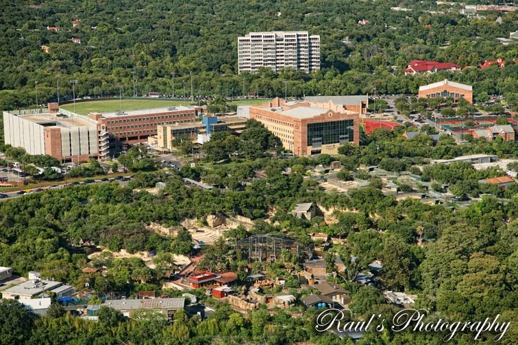 San Antonio Zoo by Raul's Photography