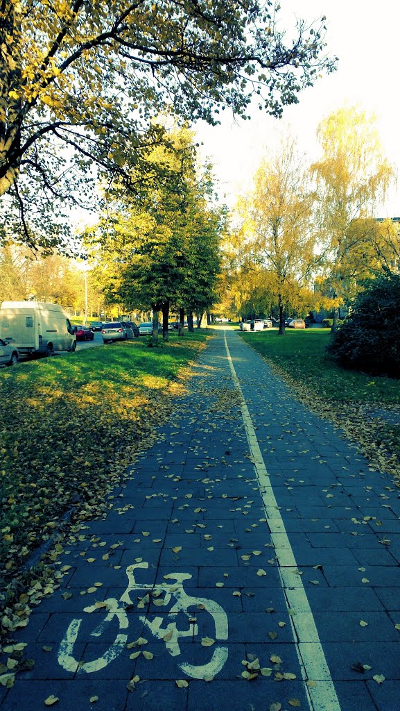 The cycleway by alvydass