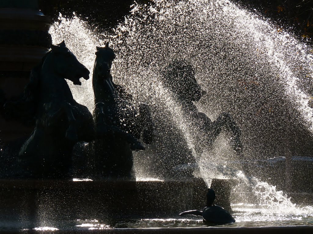 Jardin du Luxembourg by Rudy Pické