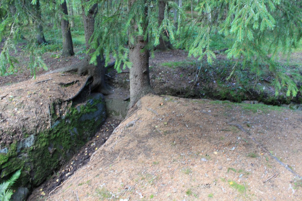 Ensimmäisen maailmansodan aikainen puolustusasema by Jorma Hokkanen