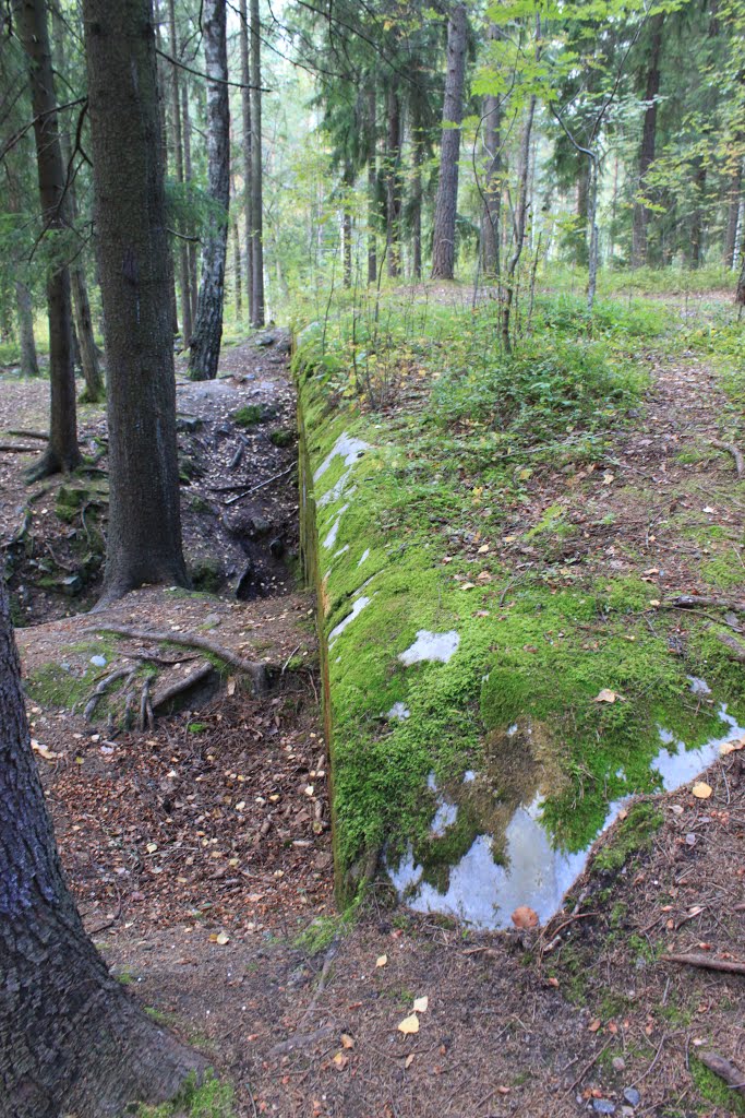 Ensimmäisen maailmansodan aikainen puolustusasema, bunkkeri by Jorma Hokkanen