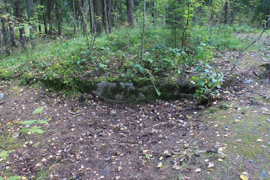 Ensimmäisen maailmansodan aikainen puolustusasema, bunkkeri by Jorma Hokkanen