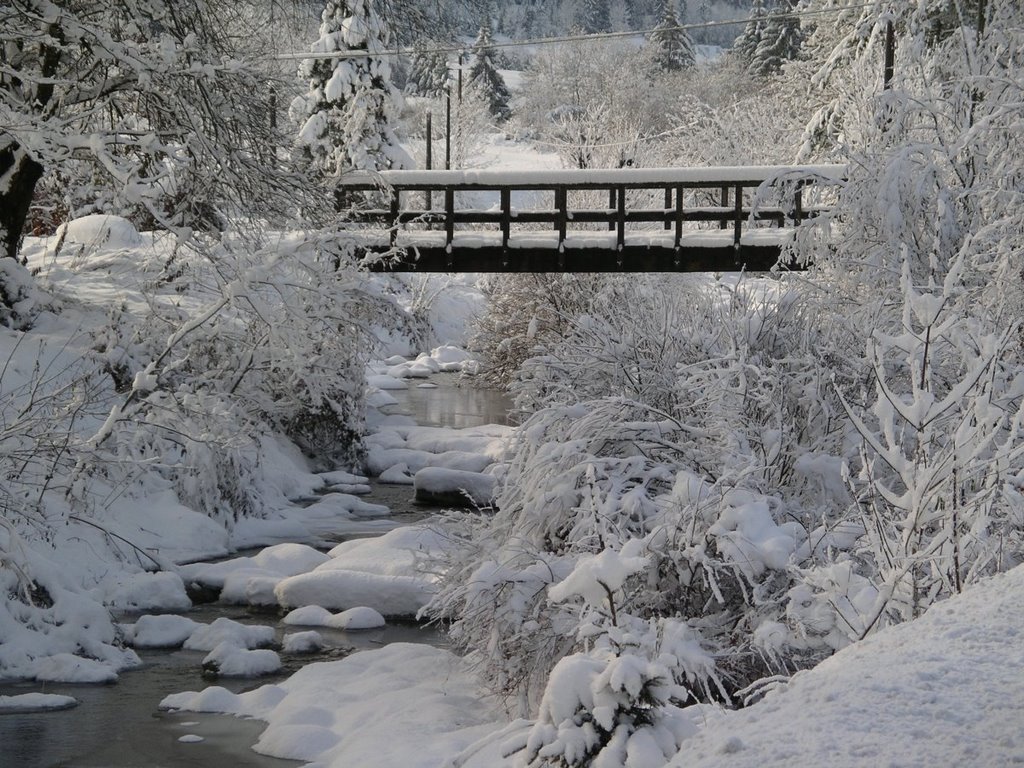 Grossa nevicata by MaoS