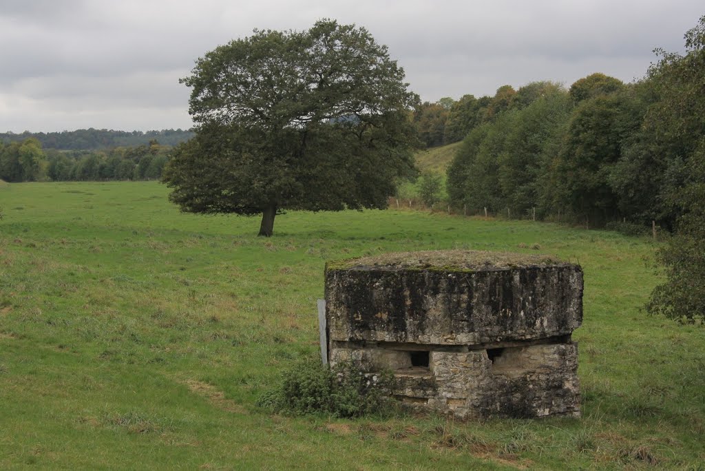 *Vestiges 1914-1918 - Avocourt: casemate de tir by Hans Briaire