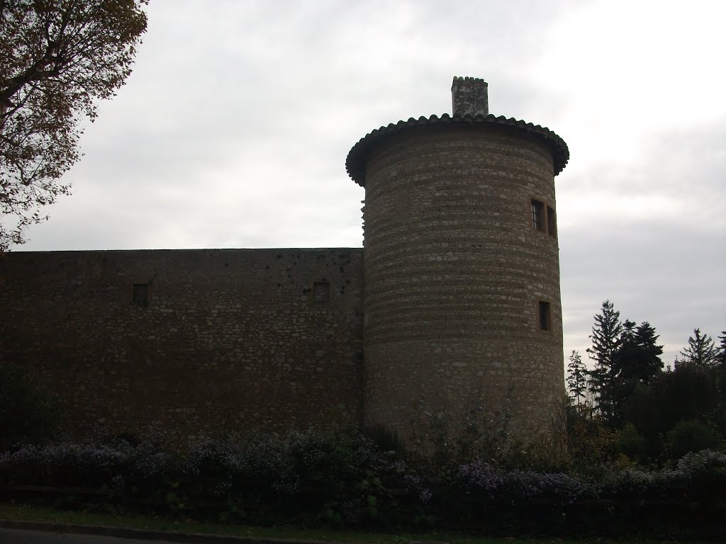 Chateau de st bernard by Salomon BARZILAI & Jerome IBY