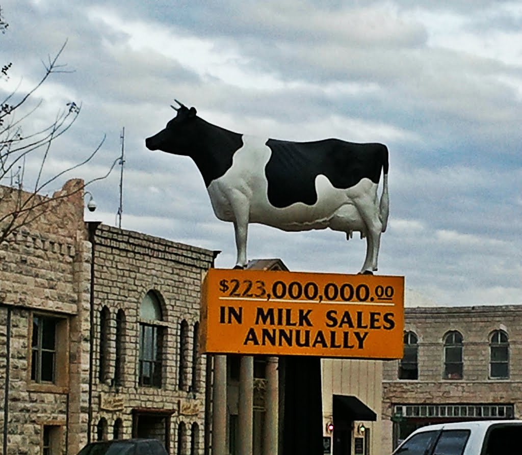 Milk Sales - Erath County (2.4.2012) by Cindy_in_FW