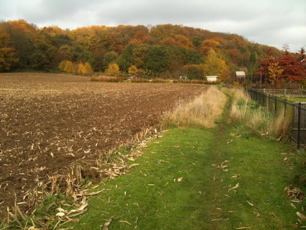 Kesselwandeling (november 2012) by Wandelen rond Leuven | Hiking around Leuven (