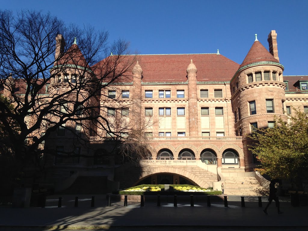 The American Museum of Natural History, located on the Upper West Side of Manhattan in New York City is one of the largest and most celebrated museums in the world. Scientific research and education institution, with collections of more than 32 million specimens and artifacts. by MrNAASSIR