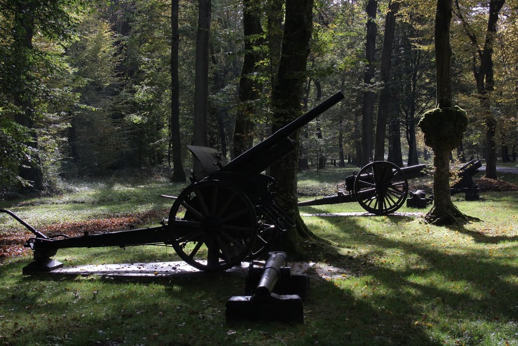 *Bois de Belleau: canons allemands by Hans Briaire