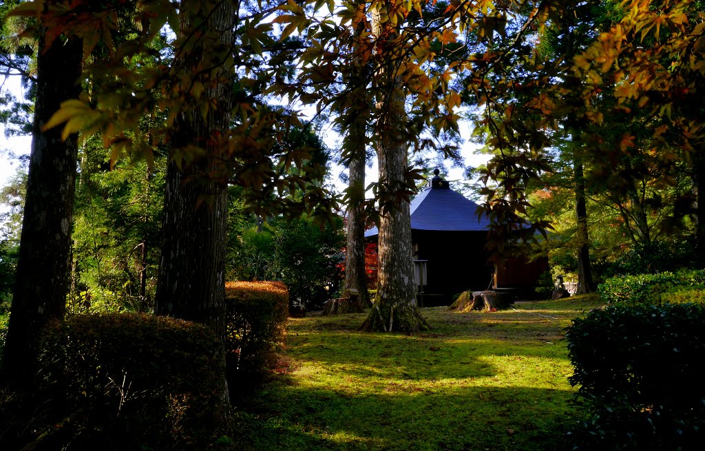 黒瀧寺（四国八十八ヶ所霊場　二十一番札所　奥の院／新四国曼荼羅霊場第八十八番札所）　大師堂 by folon X