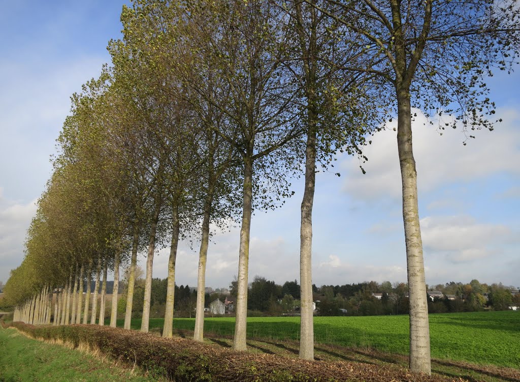 Warnant ( Villers-le-Bouillet) by Geert Budenaerts