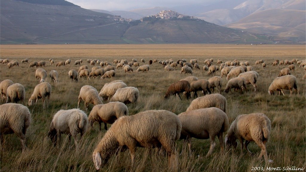 2003, Monti Sibillini. by Giovanni Mirgovi