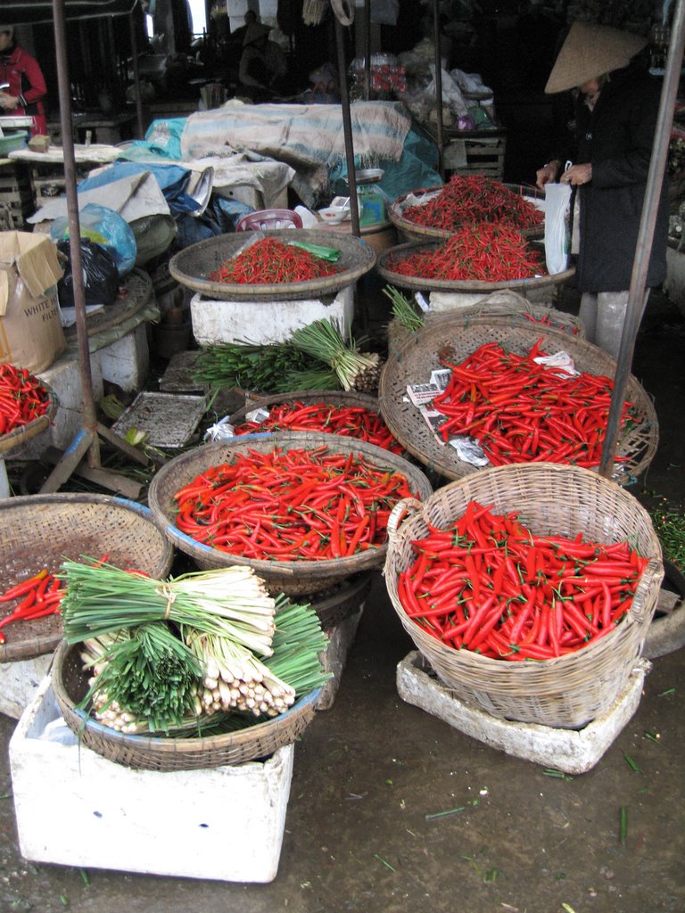 HANOI CHILLIS by the doctor