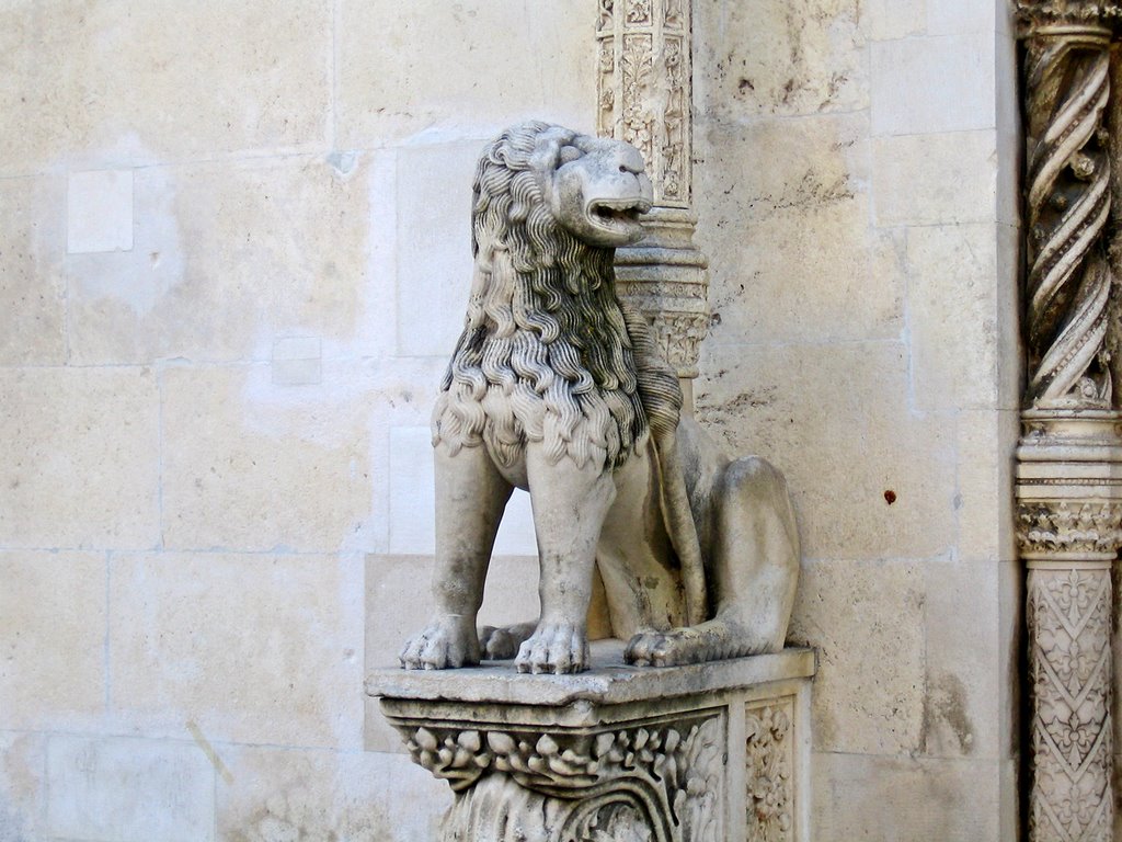 Lion Statue ( St. Jacob Cathedral) by Nikbrovnik