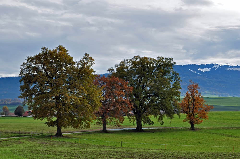 Habits d'automne by maco.b