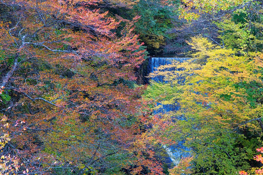 Echigo-Yuzawa in autumn 2012 by MIYAMOTO Y