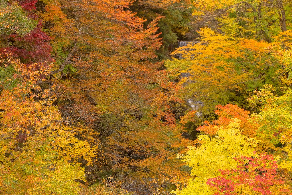 Echigo-Yuzawa in autumn 2012 by MIYAMOTO Y