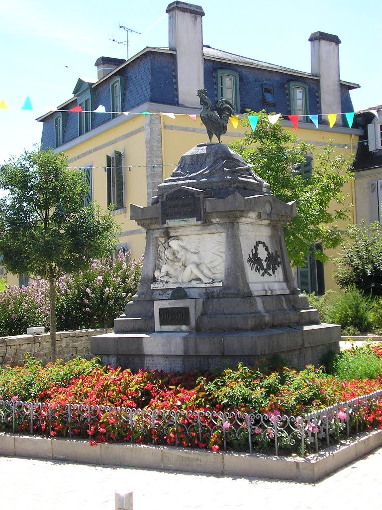 64-Salies de Béarn monument aux morts by jefrpy