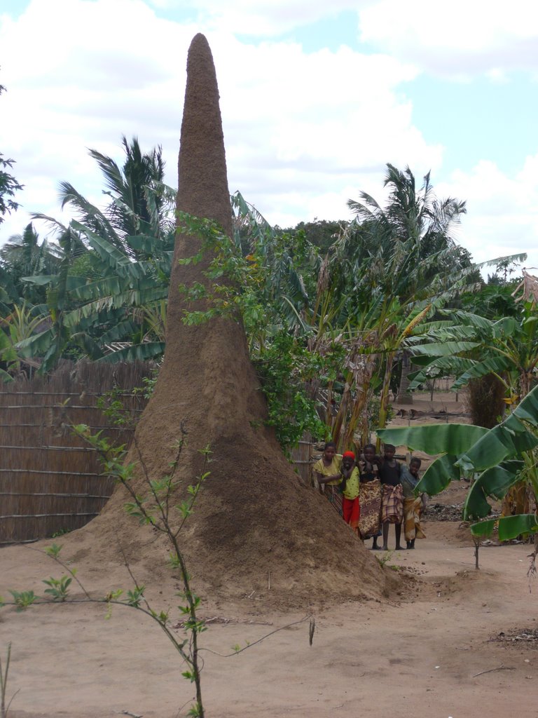 Termite mound, Nampula by Rob Ceccarelli