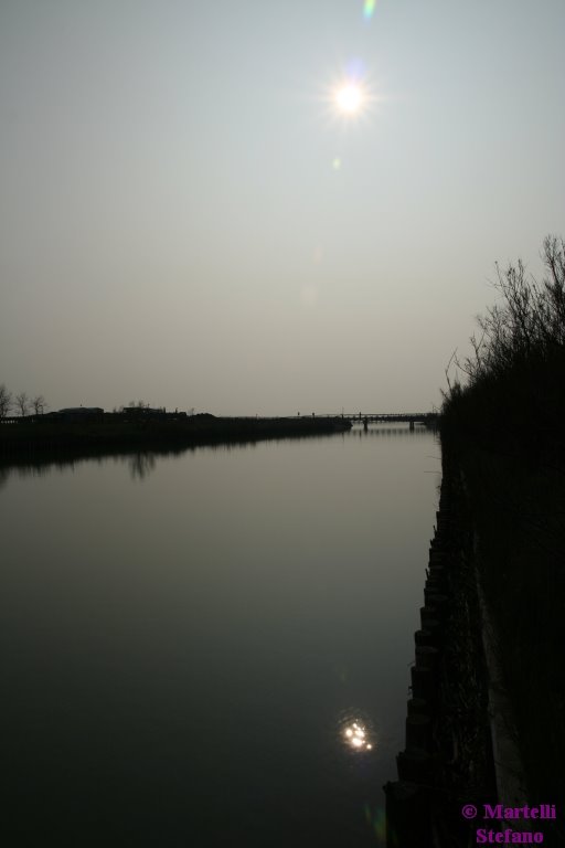 Parco fluviale del delta del Po' - Riflessi nell'acqua by Stefano Martelli