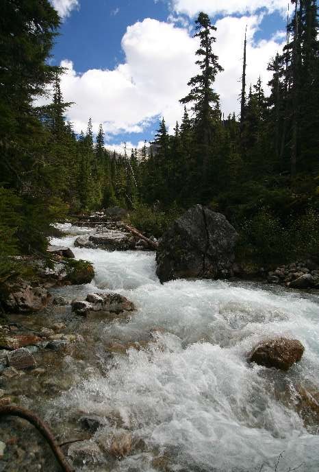 Asulkan Valley Trail by Frank Merfort