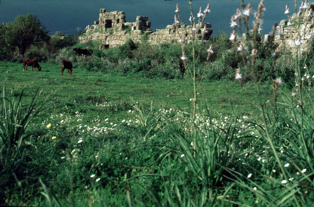 Roman Wall, Side, Turkey by Todd Stradford