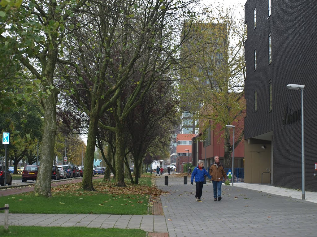 De Siersteenlaan in Vinkhuizen in Groningen met rechts de woontoren "Prisma" van NL Architects en verderop de woontoren "Fortuna" van Bureau Noordeloos. De laagbouw erussen is de Vensterschool van Karelse van der Meer Architecten, thans het bureau De Zwarte Hond. by Hans R van der Woude