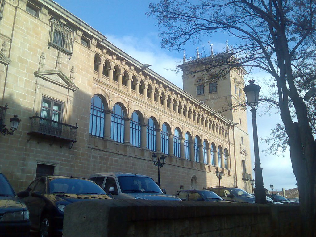 PALACIO DE LOS CONDES DE GOMARA by frprieto