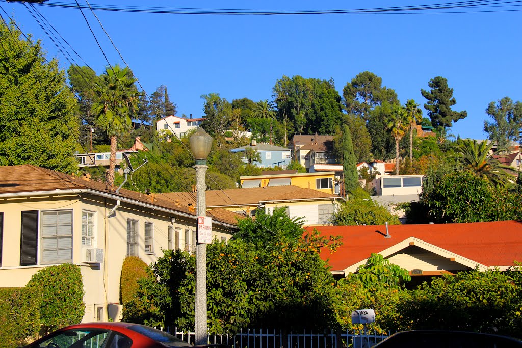 Beachwood Canyon Dr., Hollywood, Los Angeles, CA by MICHAEL  JIROCH  &  www.michaeljiroch.com